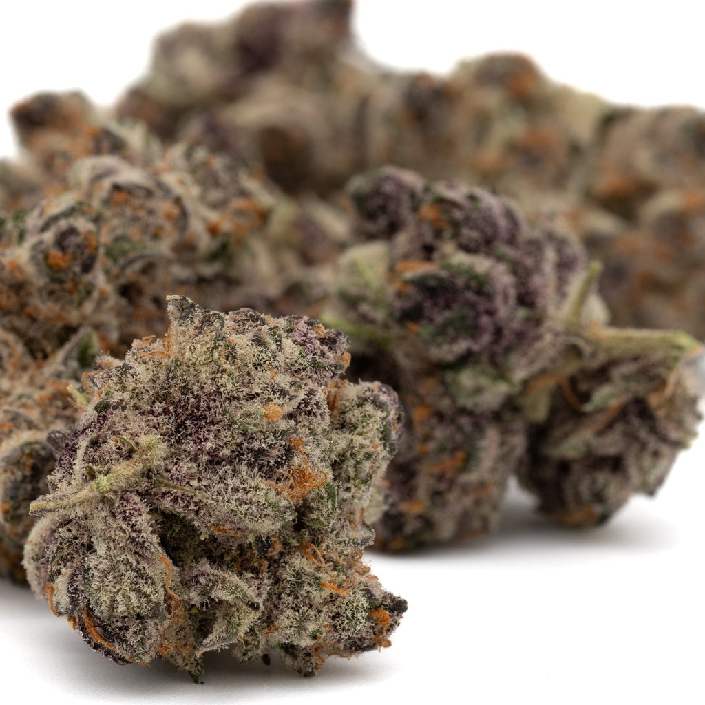 Dense purple-hued buds of Black Frost Indoor THCa Flower showcasing quality and richness