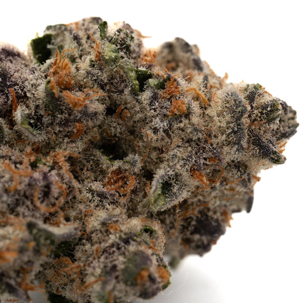 Dense Black Frost Indoor THCa Flower bud with orange hairs and frosty trichomes