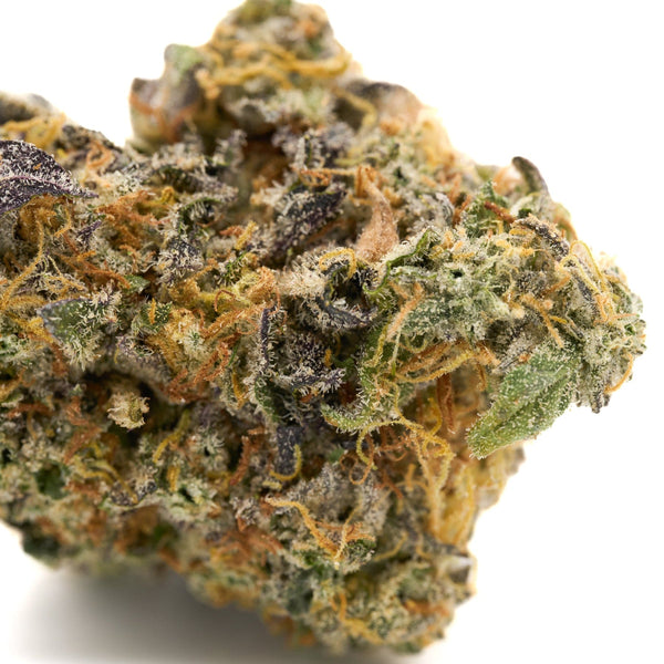 Dense GMO Indoor THCa Flower bud showcasing rich trichomes and vibrant color