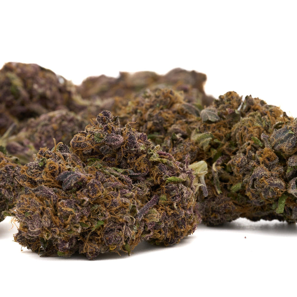 Purple cannabis buds of Jimi Hendrix Indoor THCa Flower - 5 gram for premium experience