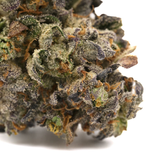 Dense Russian Runtz Indoor THCa Flower bud showcasing vibrant purple hues